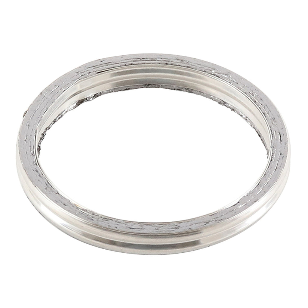 Exhaust Gasket Kit 823070