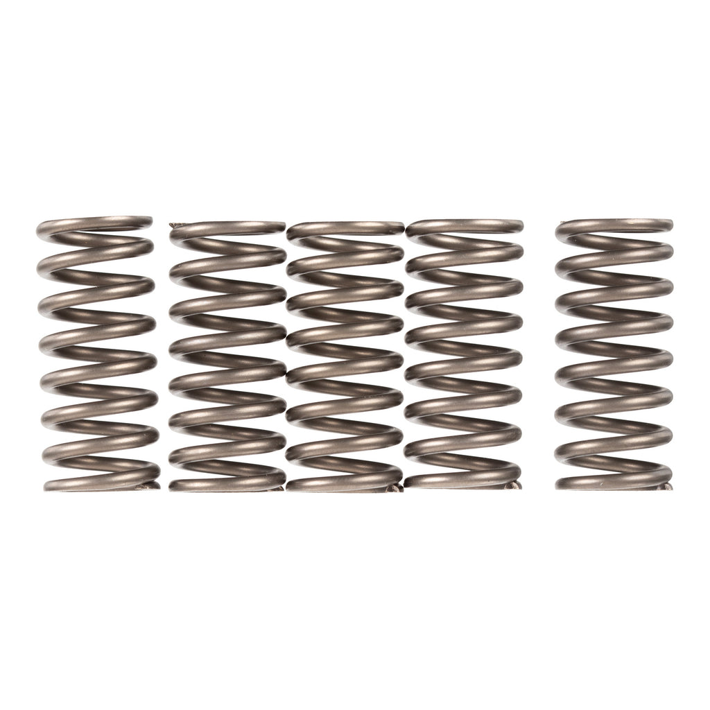 Premier Clutch Springs - Heavy Duty