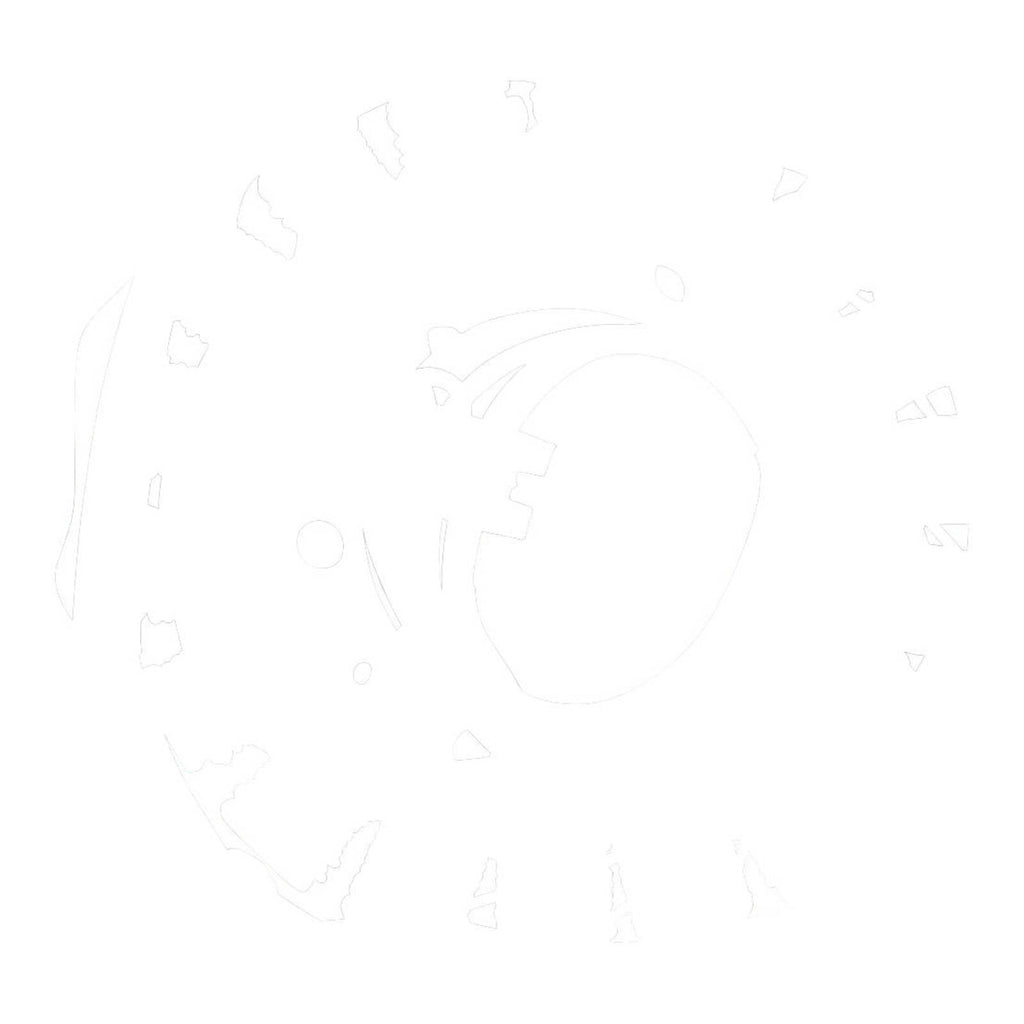 STATOR YAM XVS650 V-STAR CUSTOM 2004-2016 (RMS010-103240)